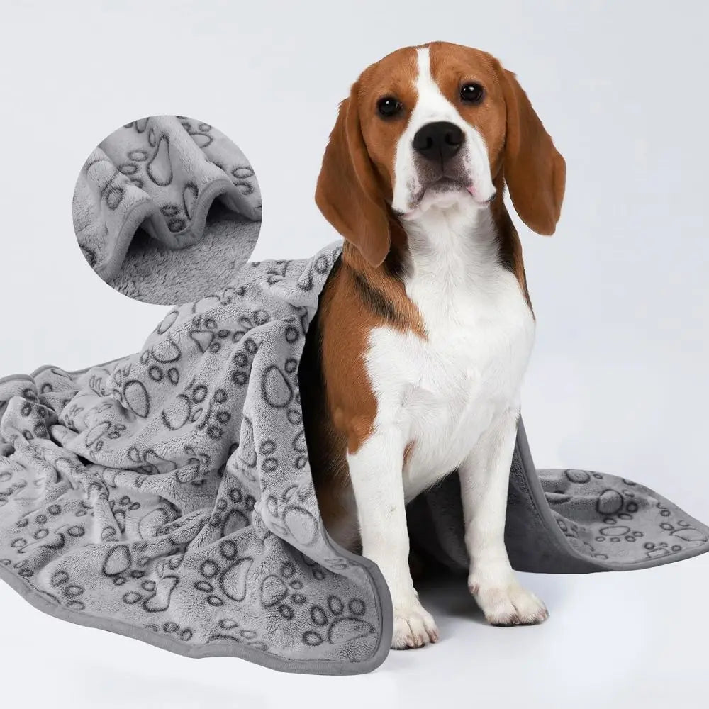 Manta Patudinha – Conforto Quentinho para Seu Pet!