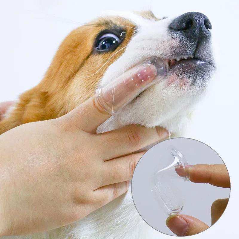 PetFinger Brush – Escova Dental de Dedo para Pets!