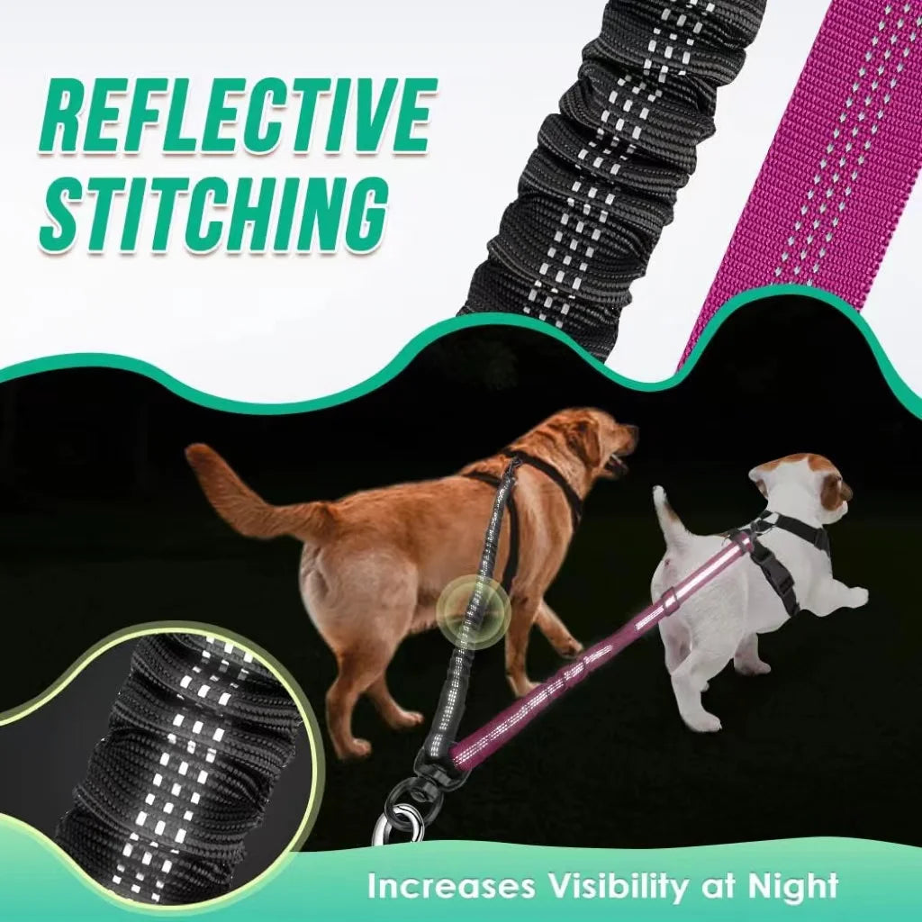 Guia DuoTrainer – Dupla Liberdade e Controle para Seus Cães!
