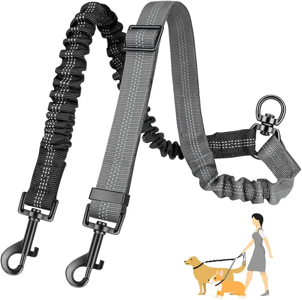 Guia DuoTrainer – Dupla Liberdade e Controle para Seus Cães!