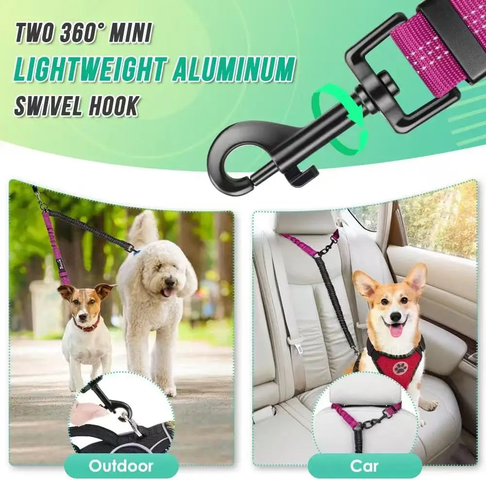 Guia DuoTrainer – Dupla Liberdade e Controle para Seus Cães!
