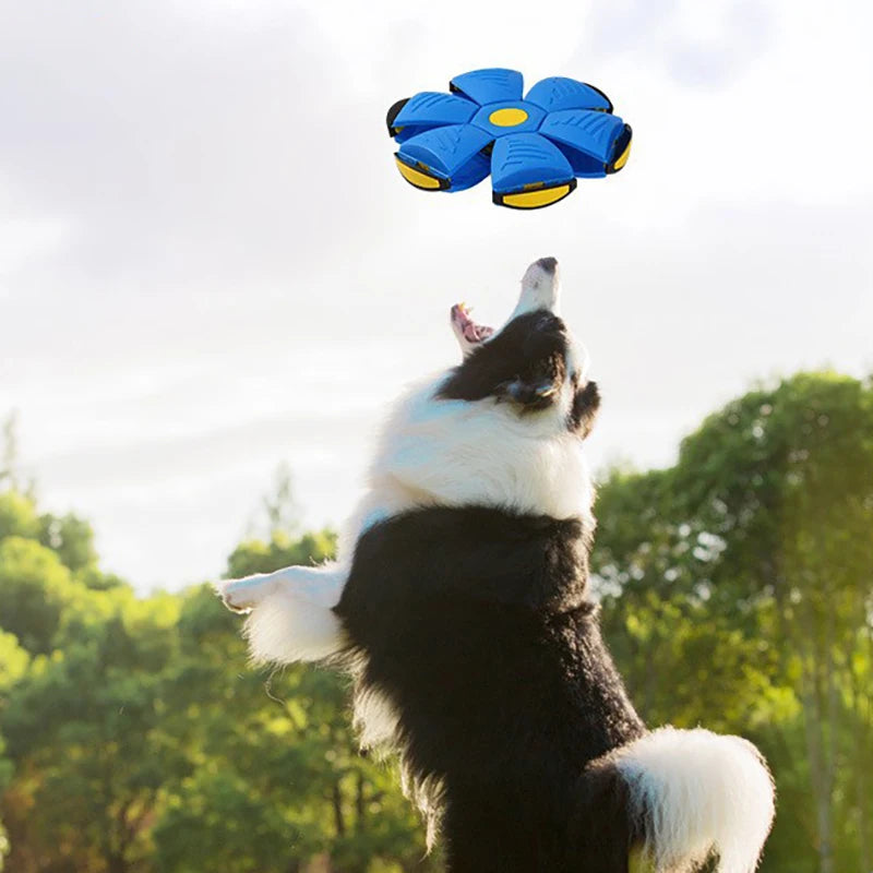 UFOBall – A Bola Mágica para Pets!