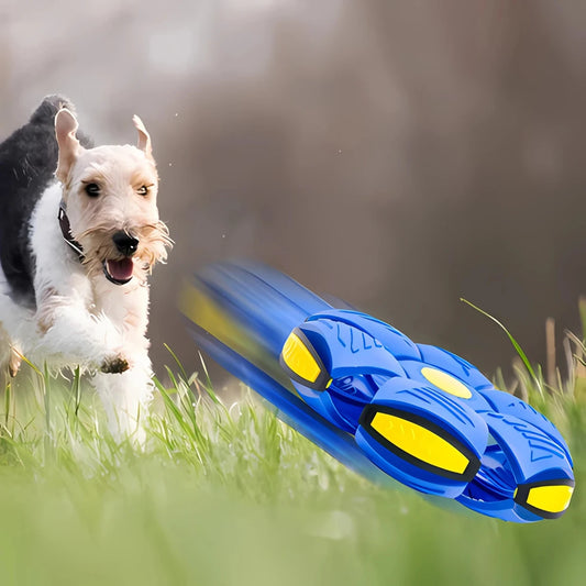 UFOBall – A Bola Mágica para Pets!